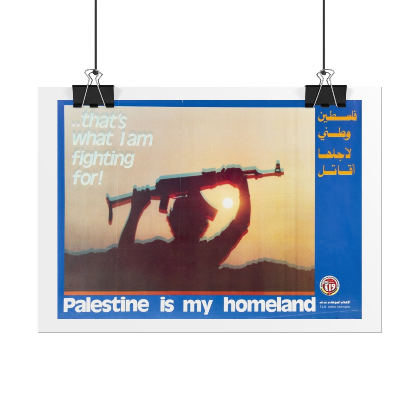 Rolled Posters
