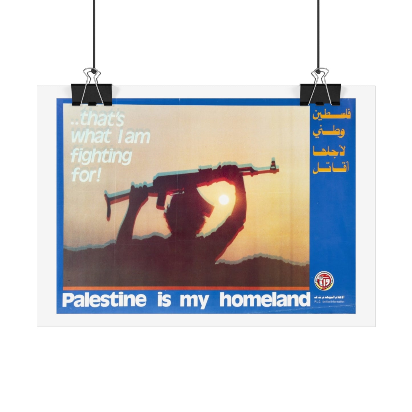 Rolled Posters