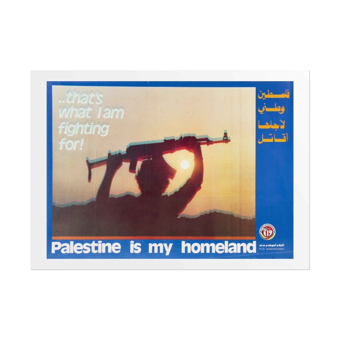 Rolled Posters