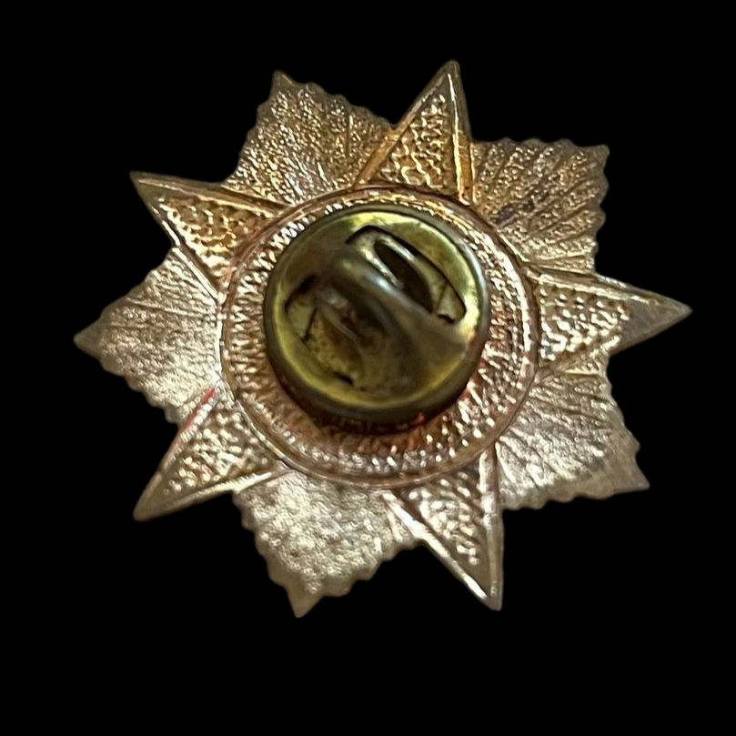Pin soviético "Frontovik 1941-1945".