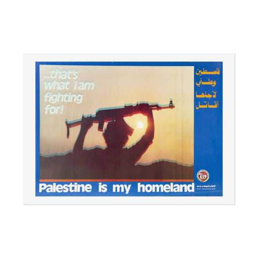 Rolled Posters