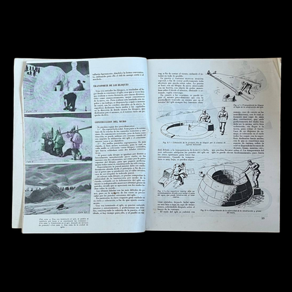 Revista Ejército [Nº81, 1946]