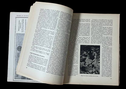 Revista Ejército [Nº95, 1947]